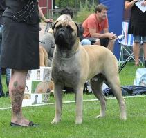 Giotto 7.2011 Giotto 7.2011